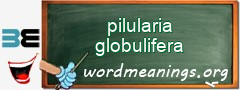 WordMeaning blackboard for pilularia globulifera